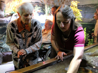 Erste Berührungen bei den Seesternen