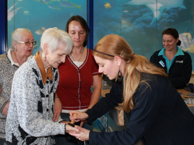 Eintritt ins SEA LIFE