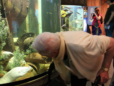 &quot;Der hat mich im Auge...&quot;