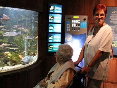 Faszinierende Welt der Ozeane