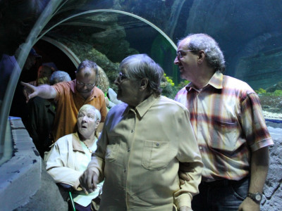 Faszinierende Welt der Ozeane