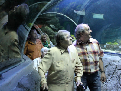 Faszinierende Welt der Ozeane