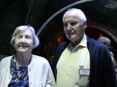 Faszinierende Welt der Ozeane