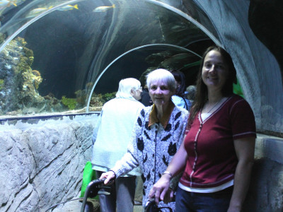 Faszinierende Welt der Ozeane