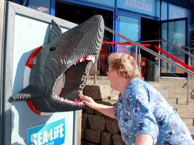 Wie viele Zähne hat wohl dieser Hai?